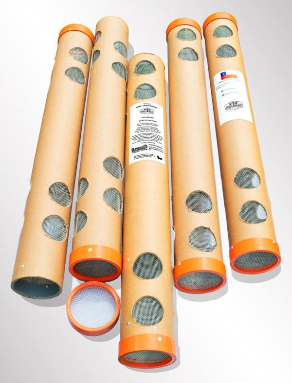 bee package tube disponibility since march until may