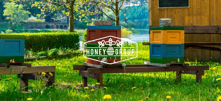 to being an innovative beekeeping company